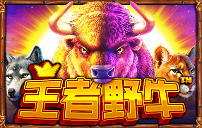 b体育官方官网入口